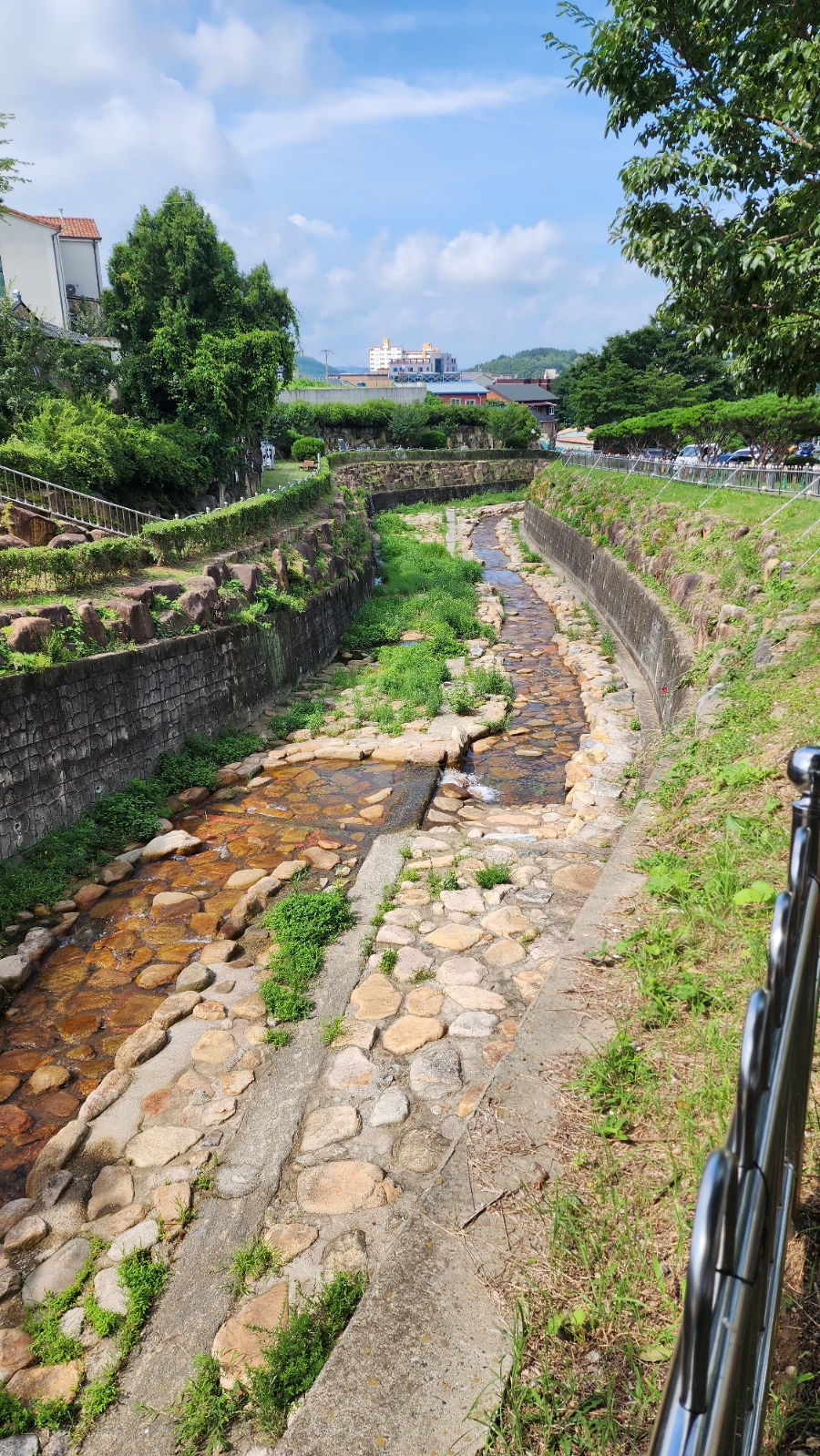 화왕산벌꿀 이미지