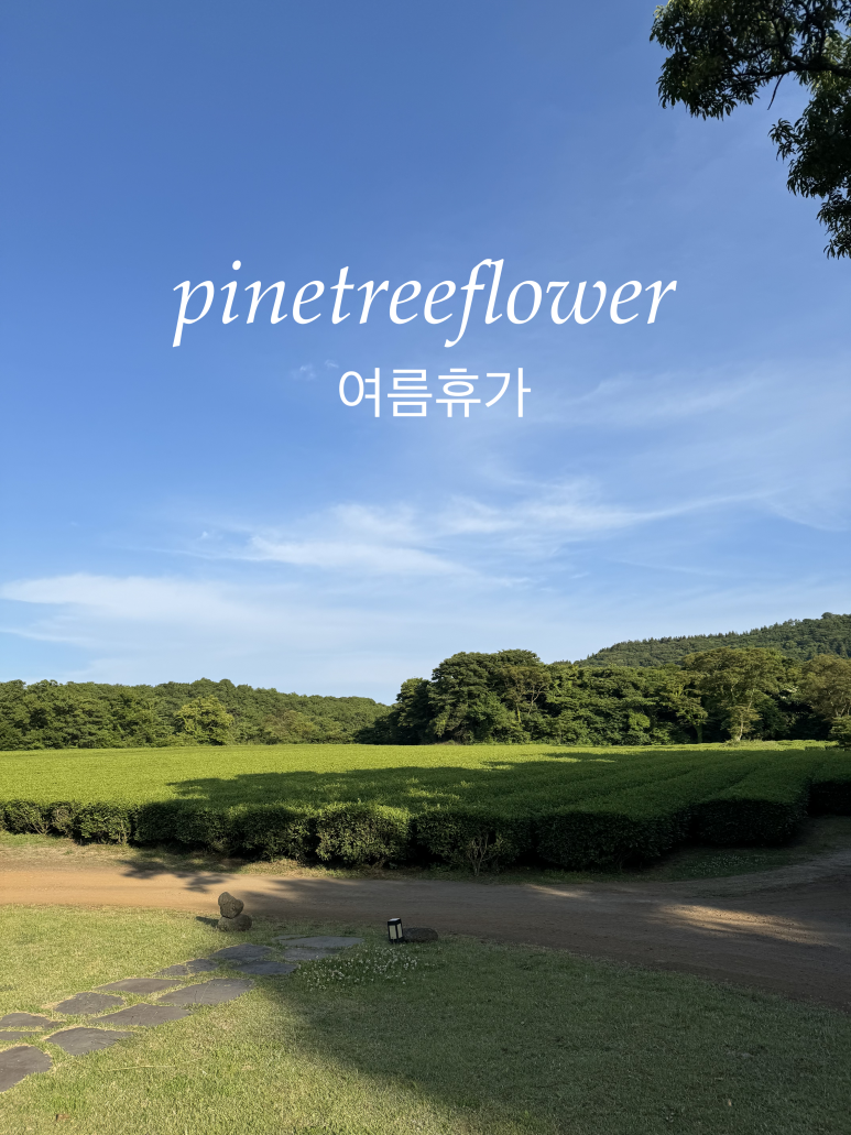 파인트리플라워 이미지