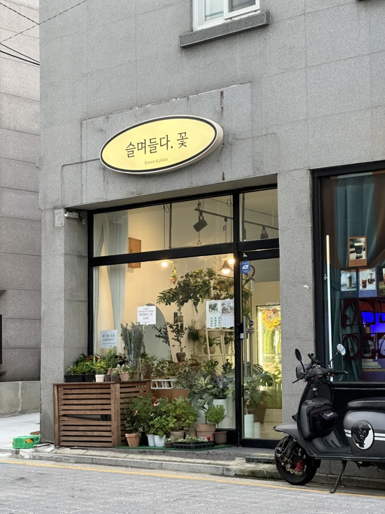 슬며들다.꽃 이미지