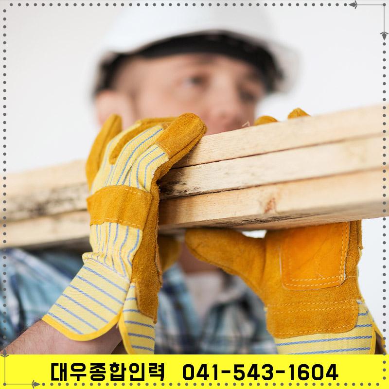 둔포인력 이미지