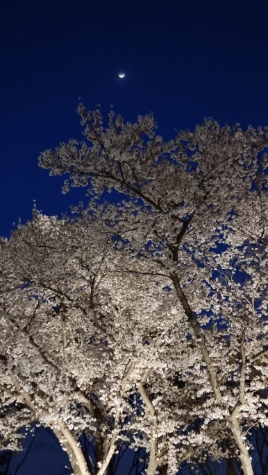 화랑루 이미지