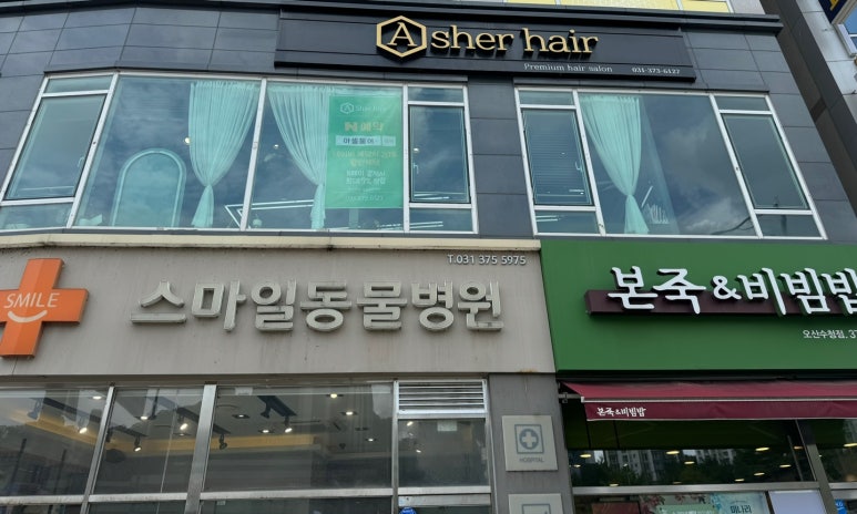 아셀헤어 이미지