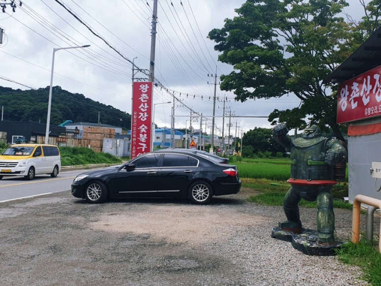왕촌산장 이미지