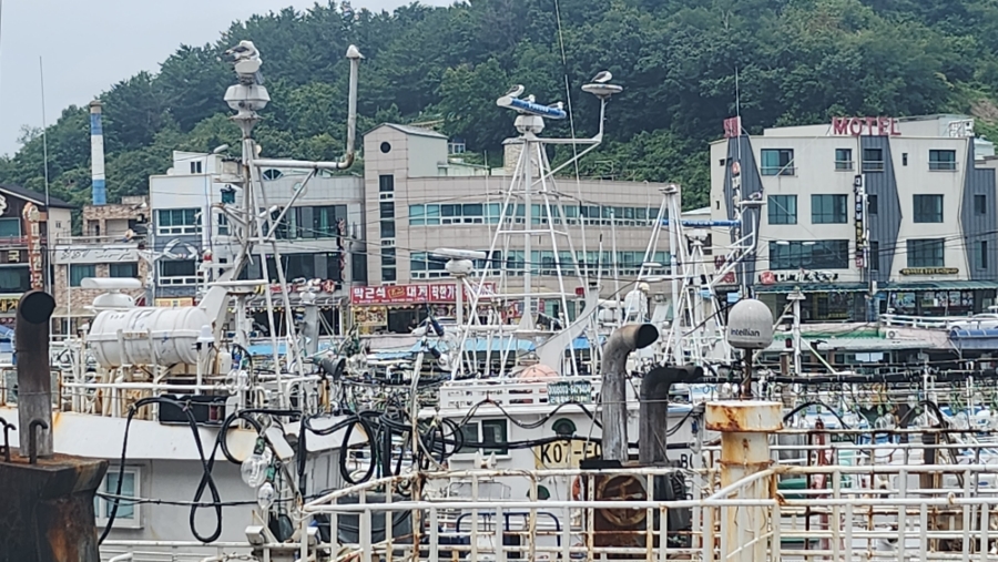 새마을식당영덕강구점 이미지