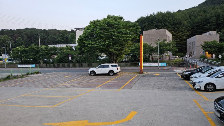 복드리오리 이미지