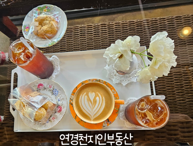 다반트 이미지