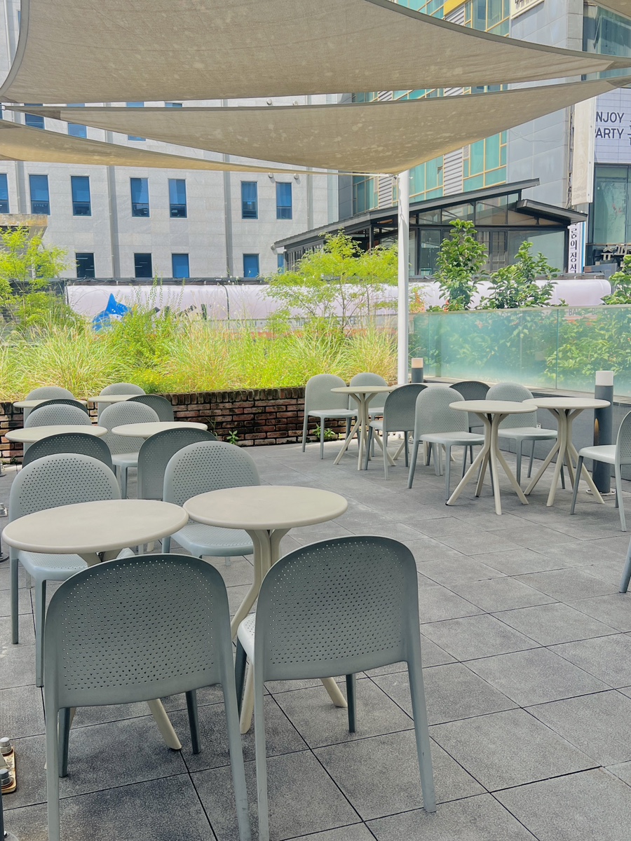 강남 노티드 도넛, 카카오 친구들과 즐기는 애견 동반 카페 — 사진 14