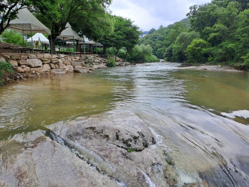 선유화카페 이미지