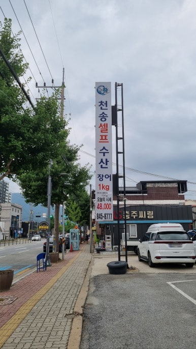 천송셀프 이미지