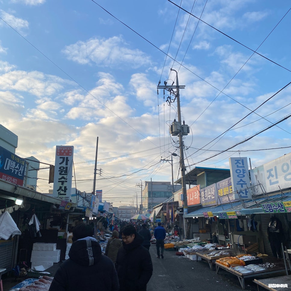 대일상회 이미지