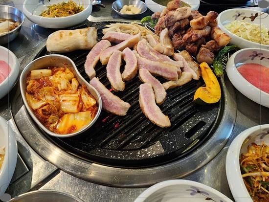 돈구어 이미지