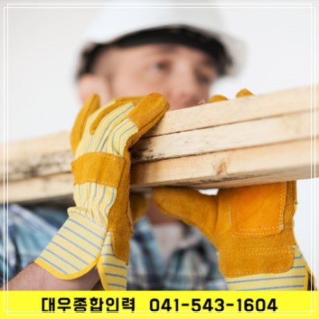 대우종합인력 이미지