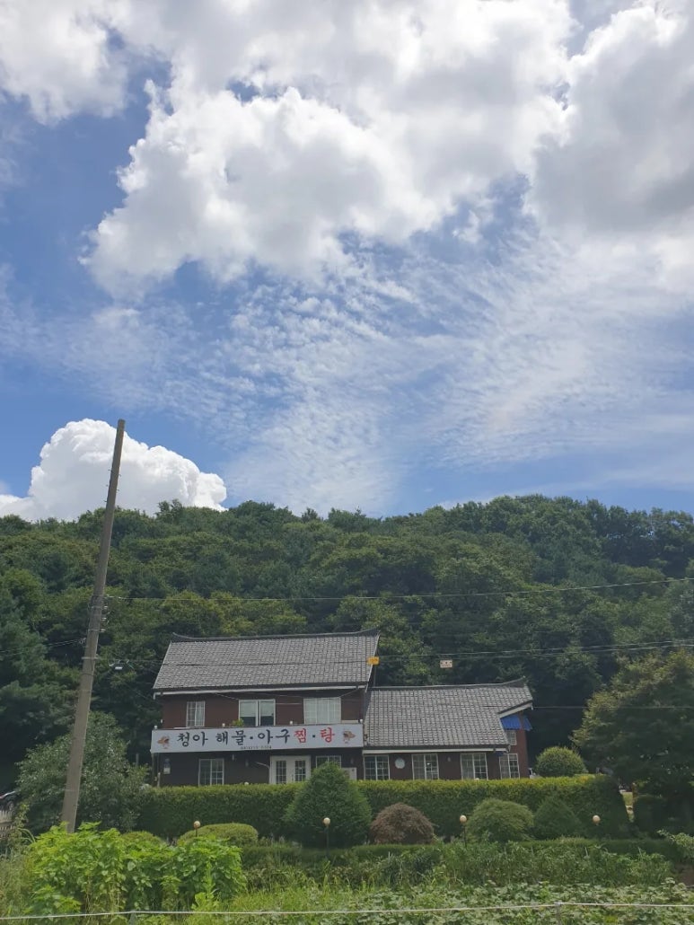 청아 해물찜 이미지