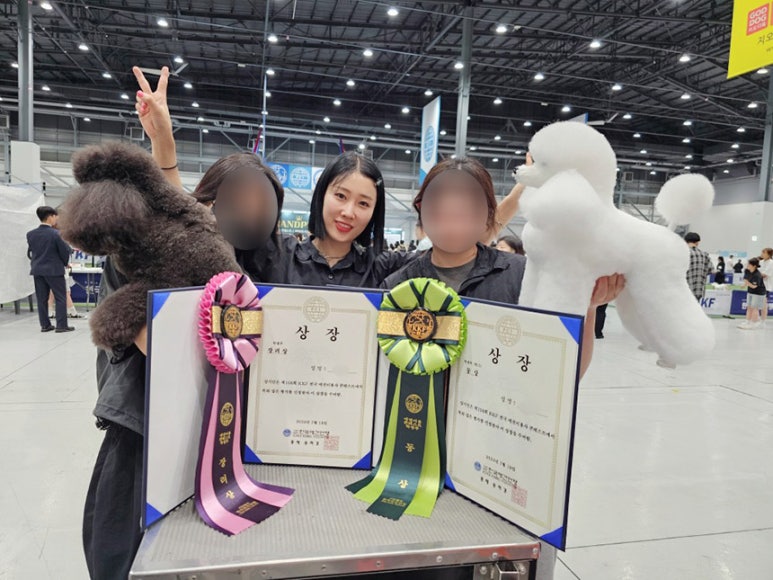 윈애견미용학원 이미지