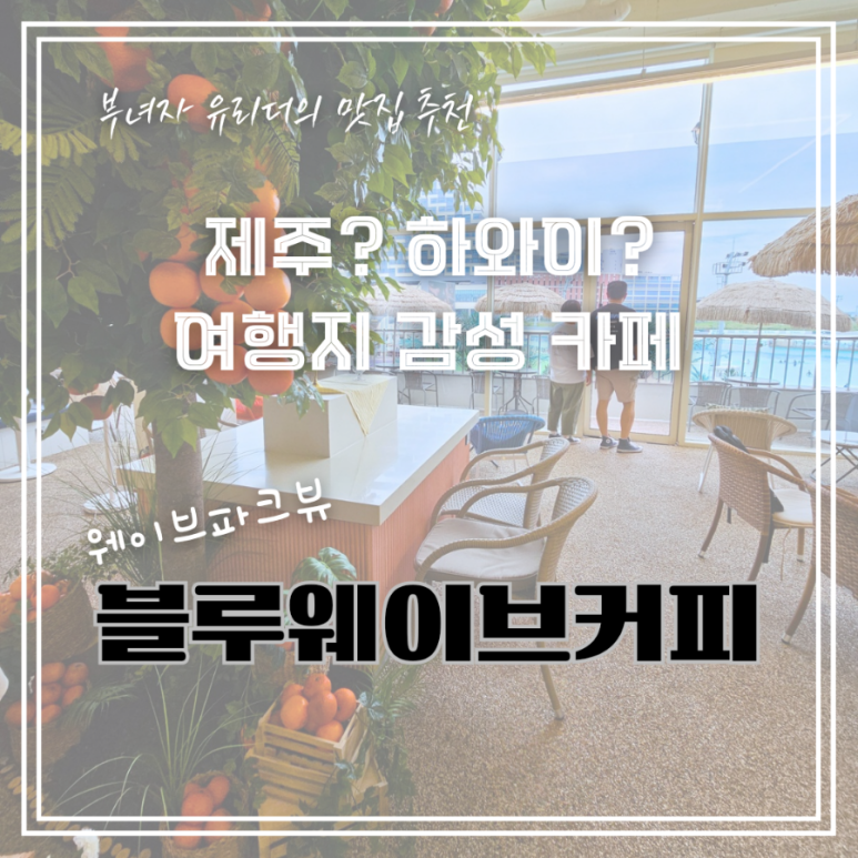블루 웨이브 커피 이미지