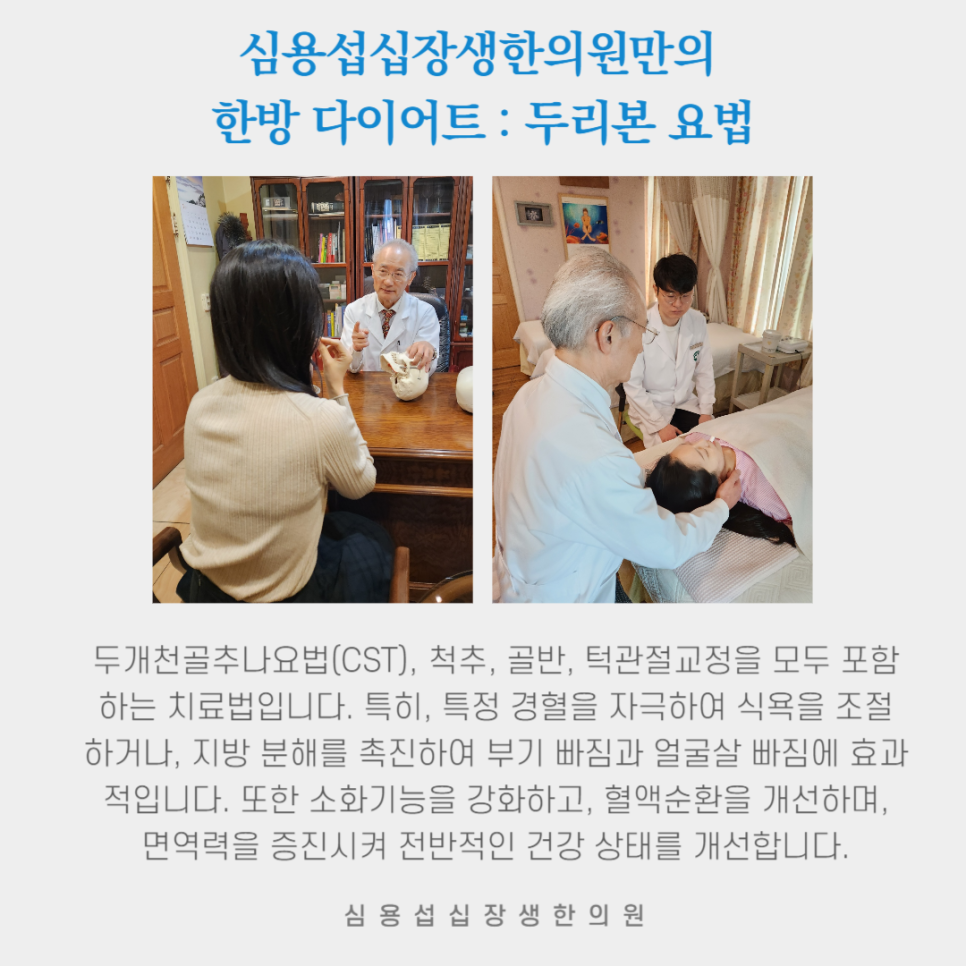 신진CST 이미지