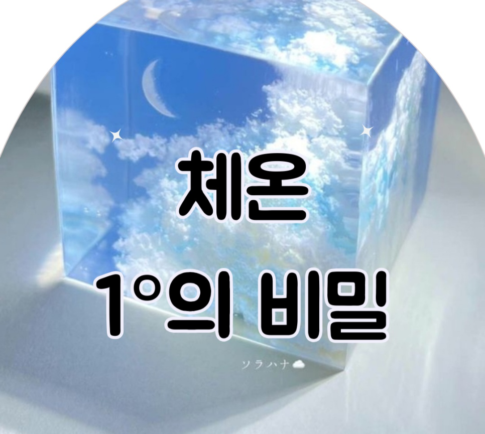 오오점핑 이미지