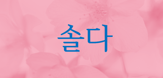솔다 이미지