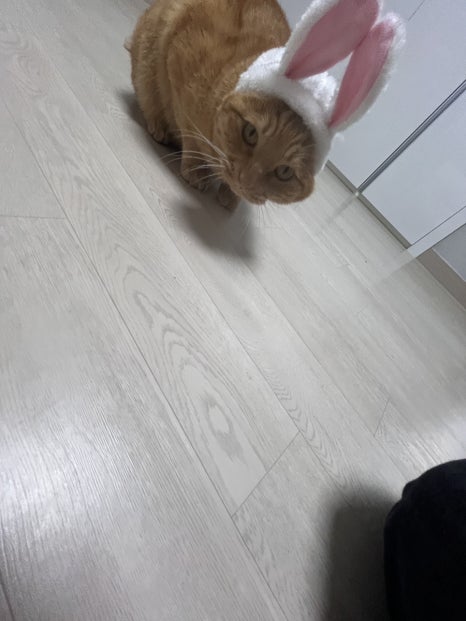 포은우선생 이미지