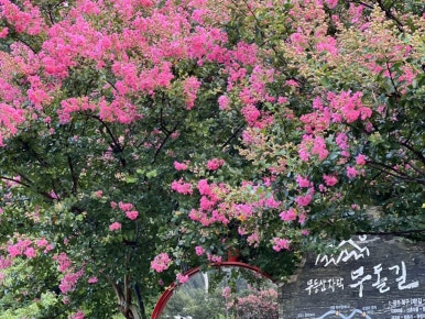 소화당 이미지