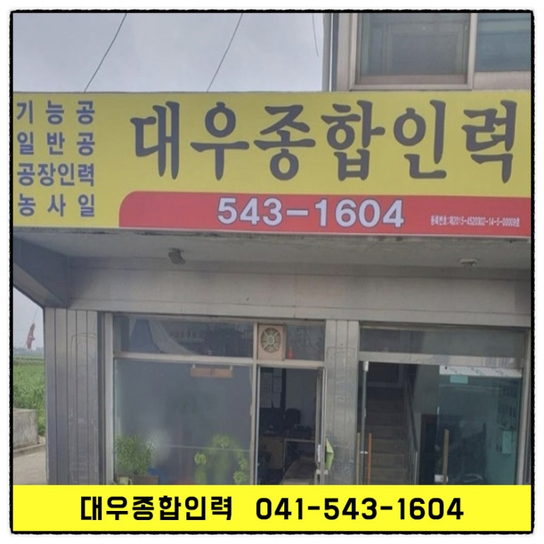 대우종합인력 이미지