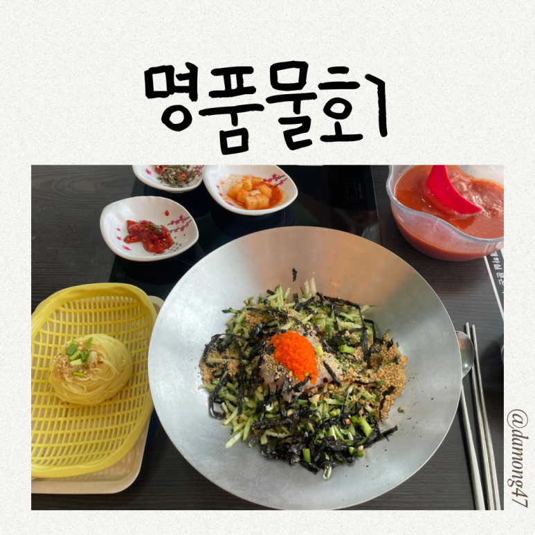 명품물회 송정본점 이미지