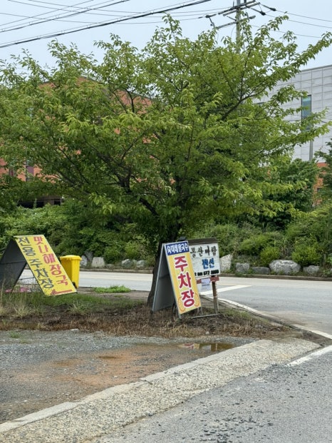 숙이네칼국수 이미지