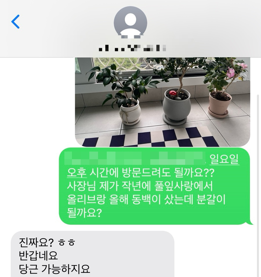 풀잎사랑화원 이미지