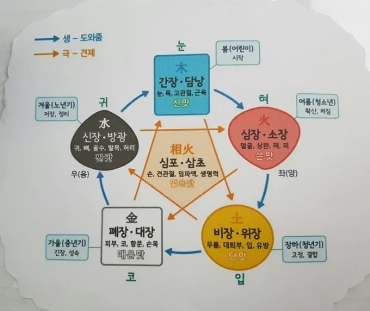 선재생활건강 이미지