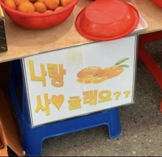 인타이 이미지