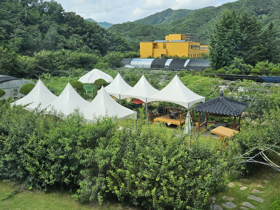 칼디커피숍 이미지