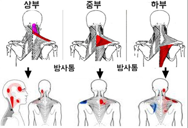 수앤테라피 이미지