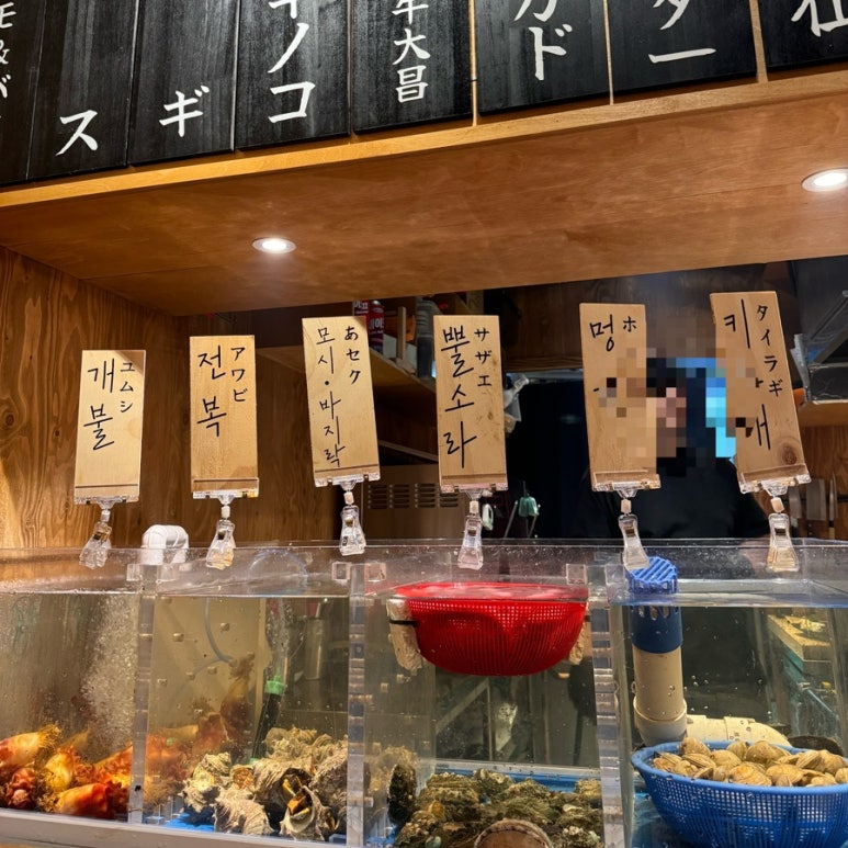 플러스육일 이미지