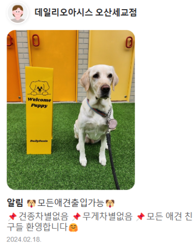 데일리오아시스오산 이미지