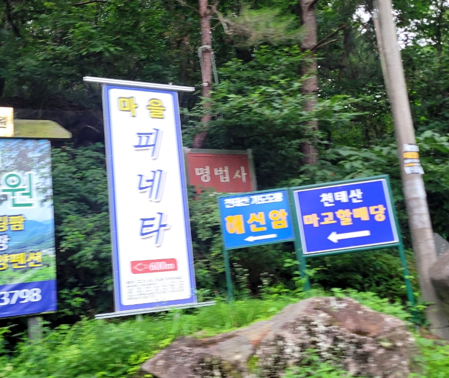피네타 이미지