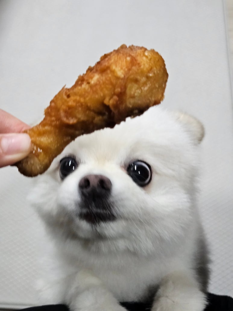 고향통닭 이미지