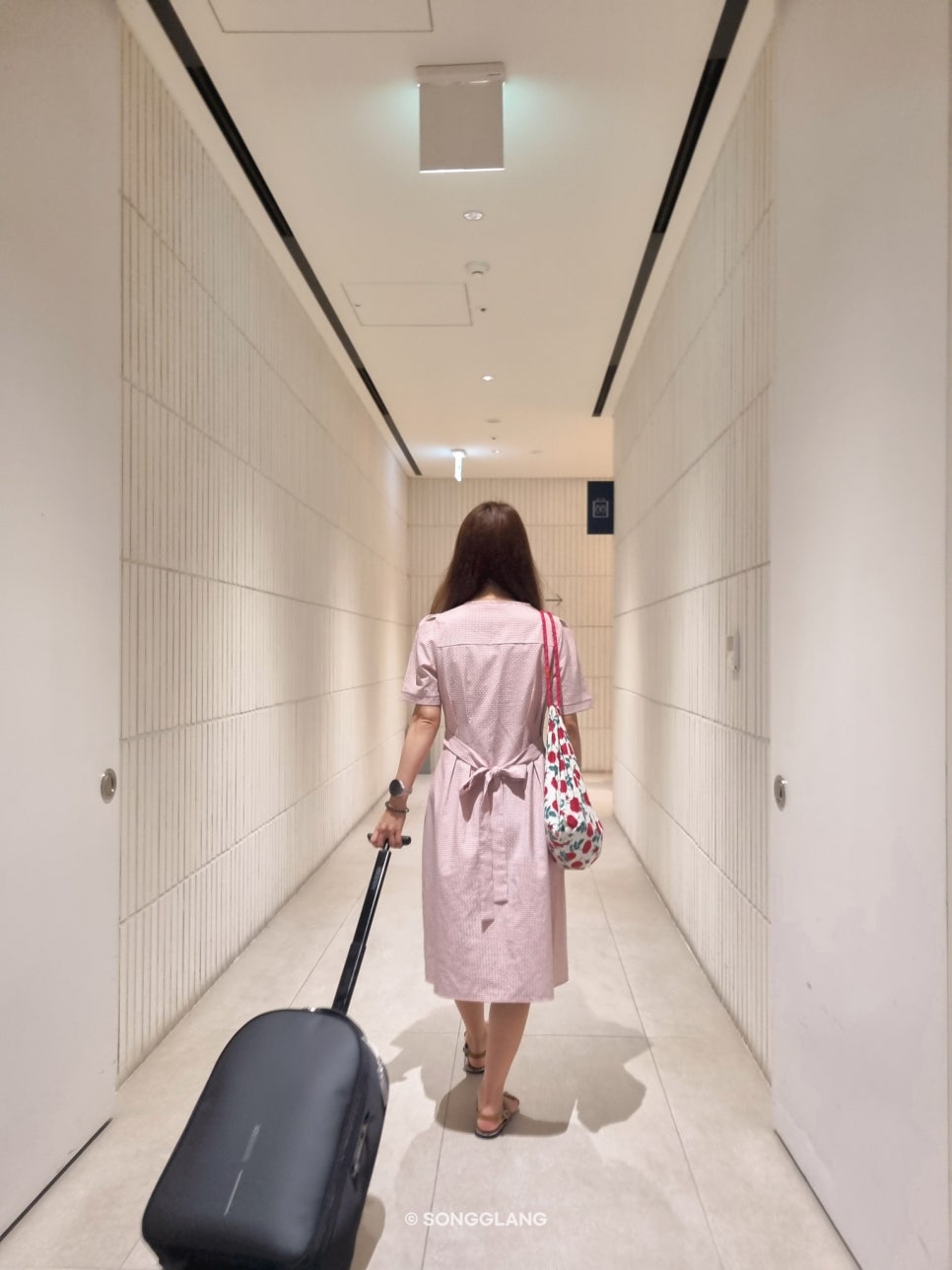 비엑스디 이미지