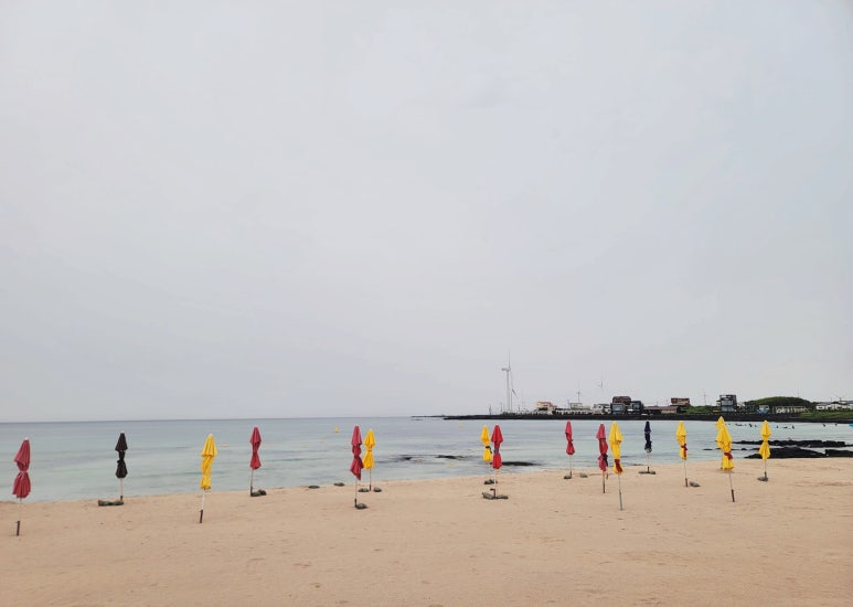퍼스트커피랩제주 이미지