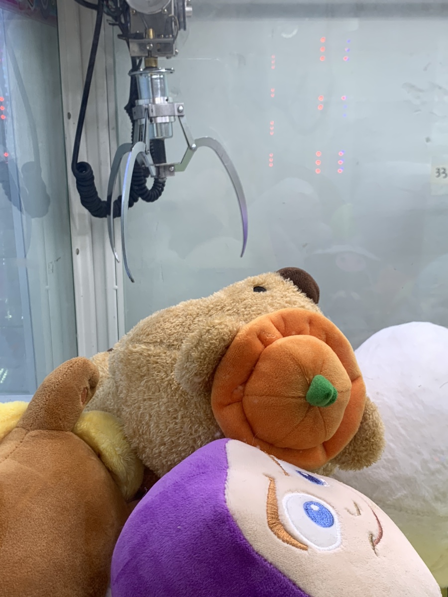 중곡진사골 이미지