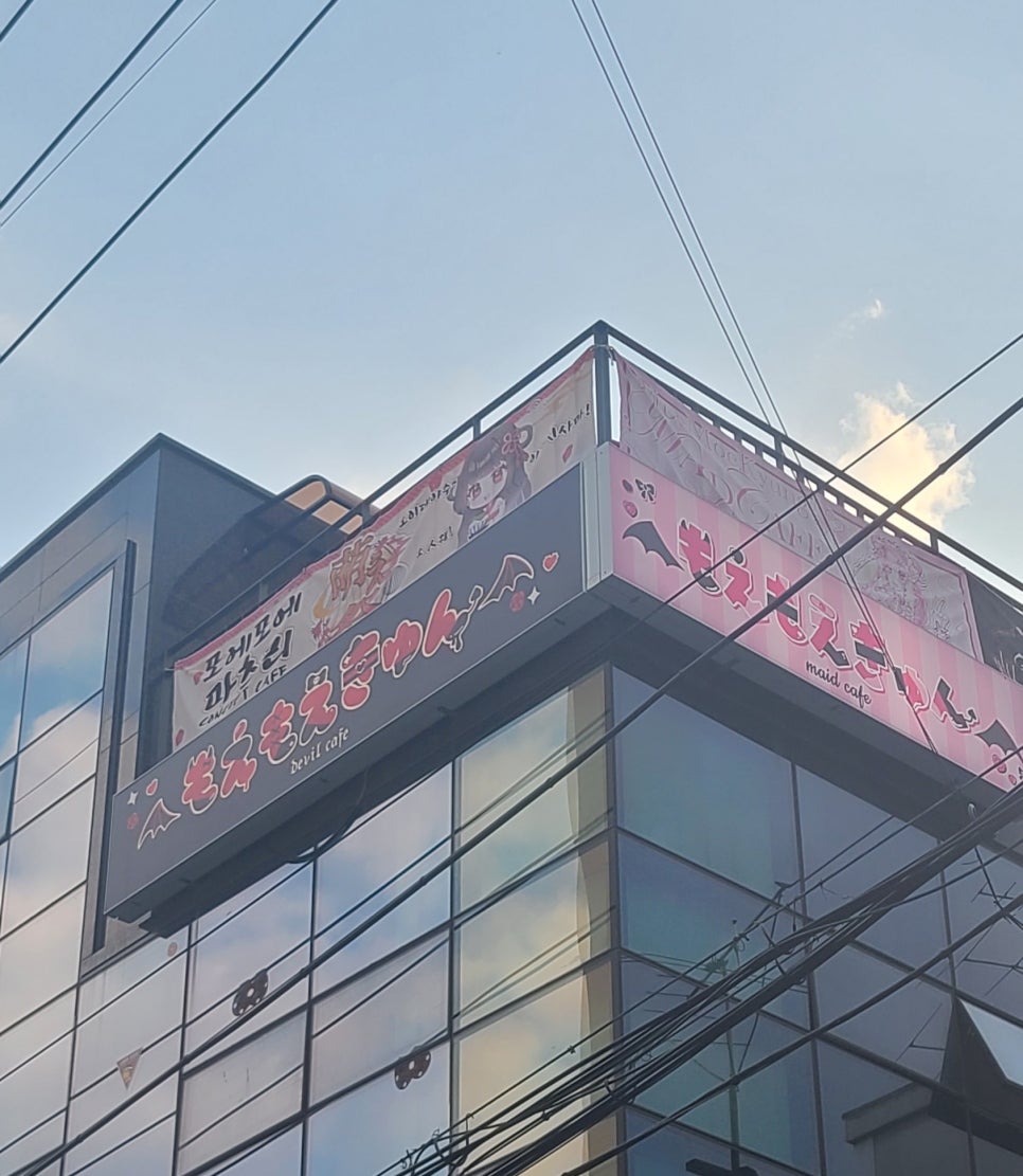 모에모에마츠리 이미지