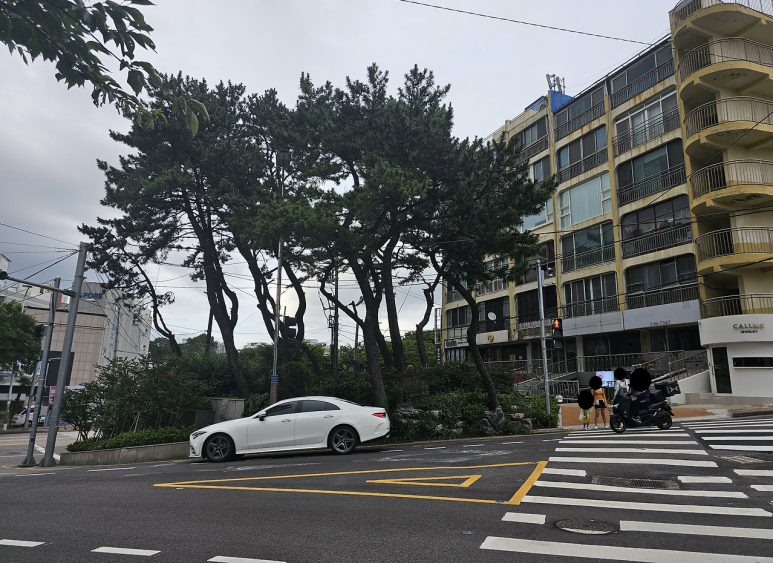 바다내음 이미지
