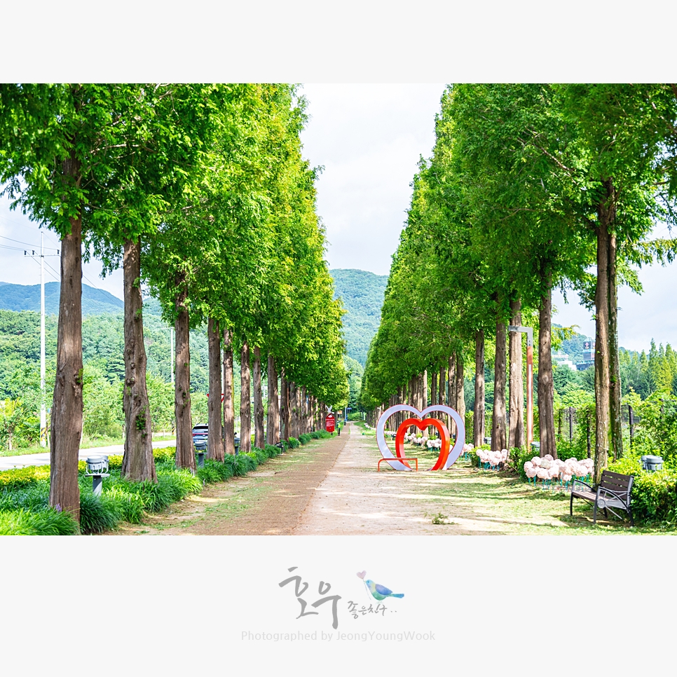 덕산관광농원 이미지