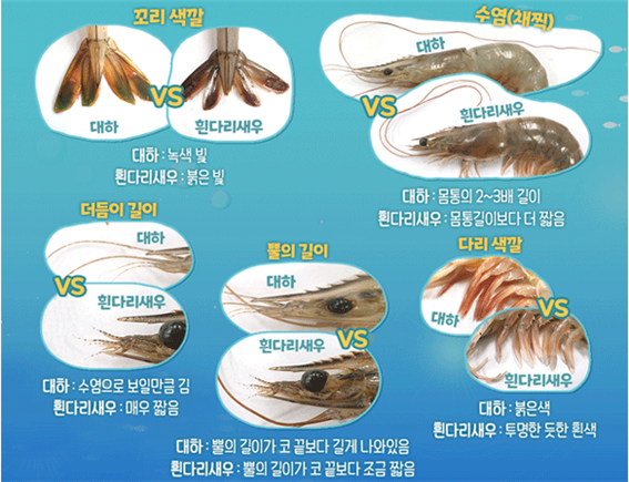 대하반점 이미지