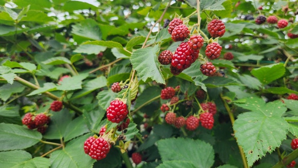 수인환경산업 이미지
