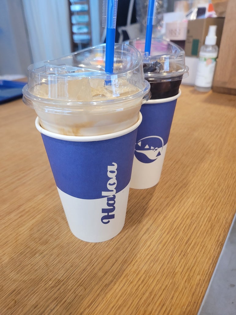 할로아 이미지