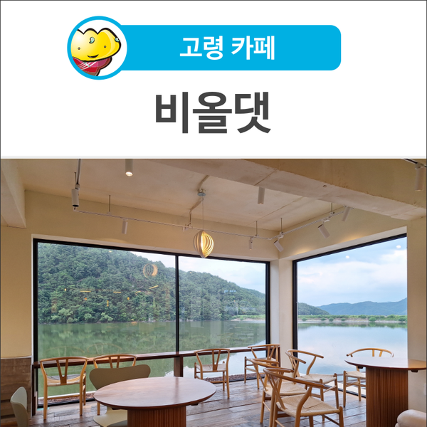 비올댓 이미지
