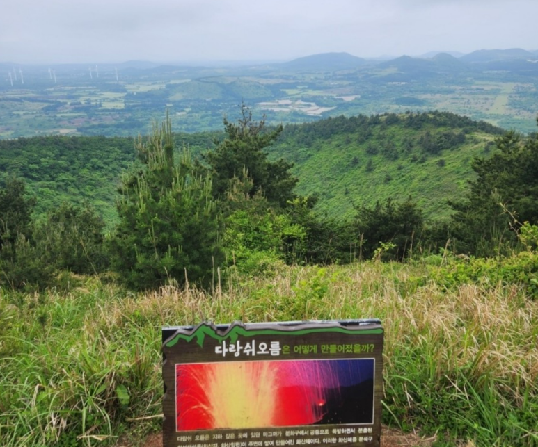 알지니포레스트 이미지