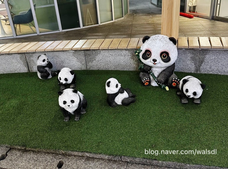 미화동 이미지
