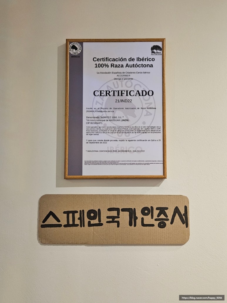 육화만개 이미지