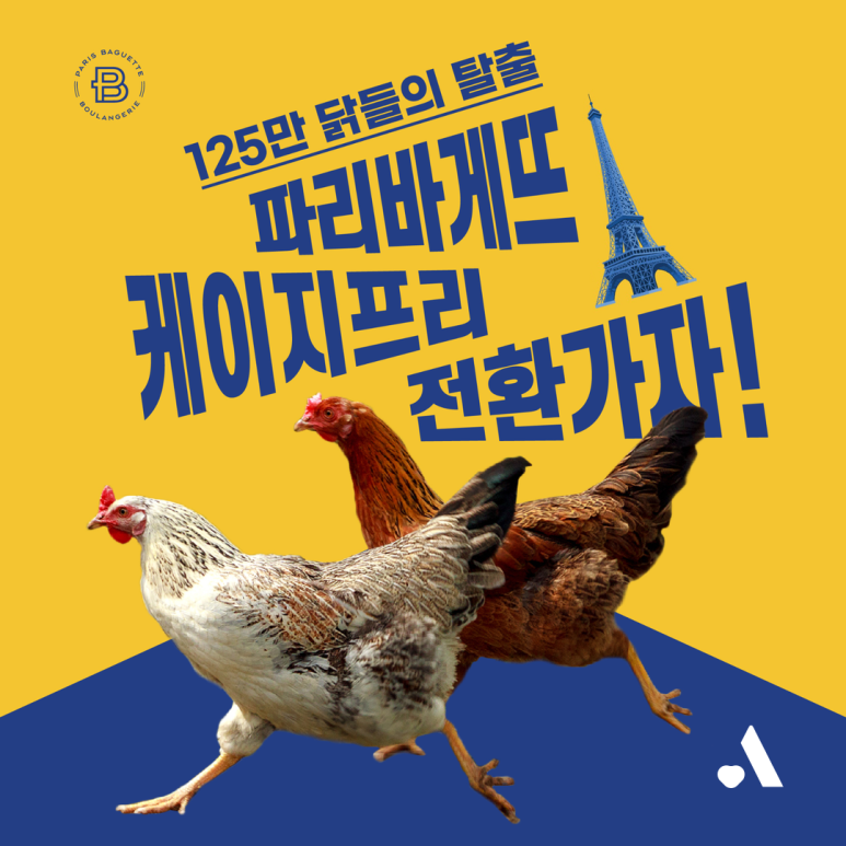 케이지 이미지